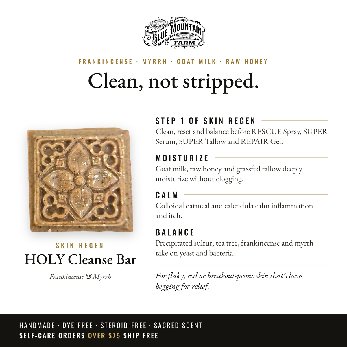 HOLY Cleanse Bar infographic: Clean, not stripped