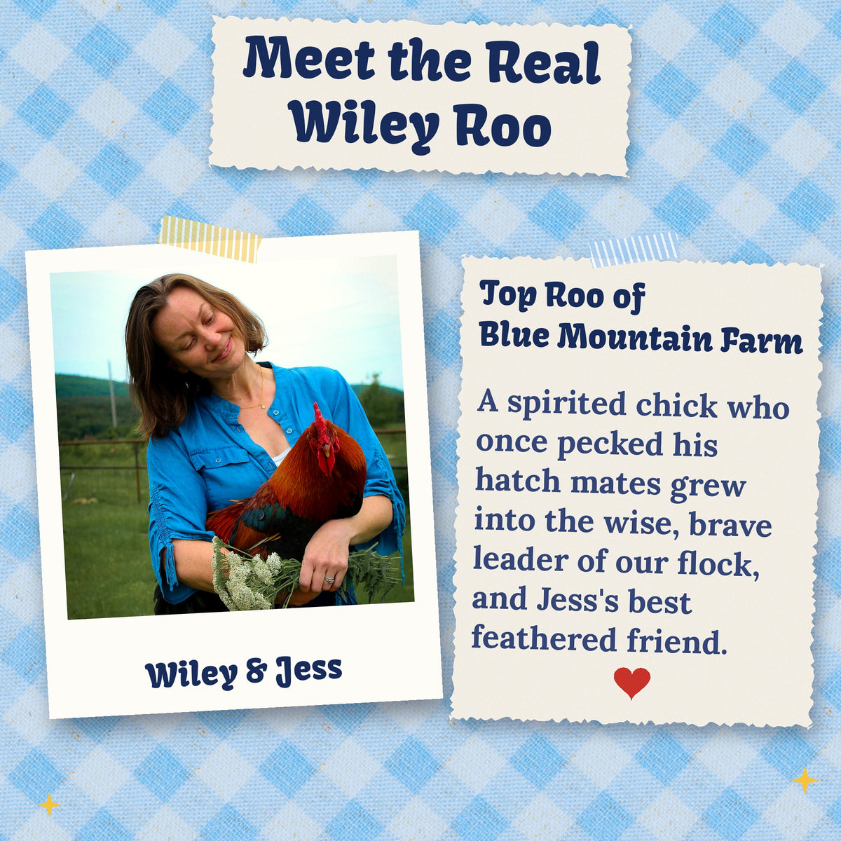 Meet the real Wiley Roo with Jess