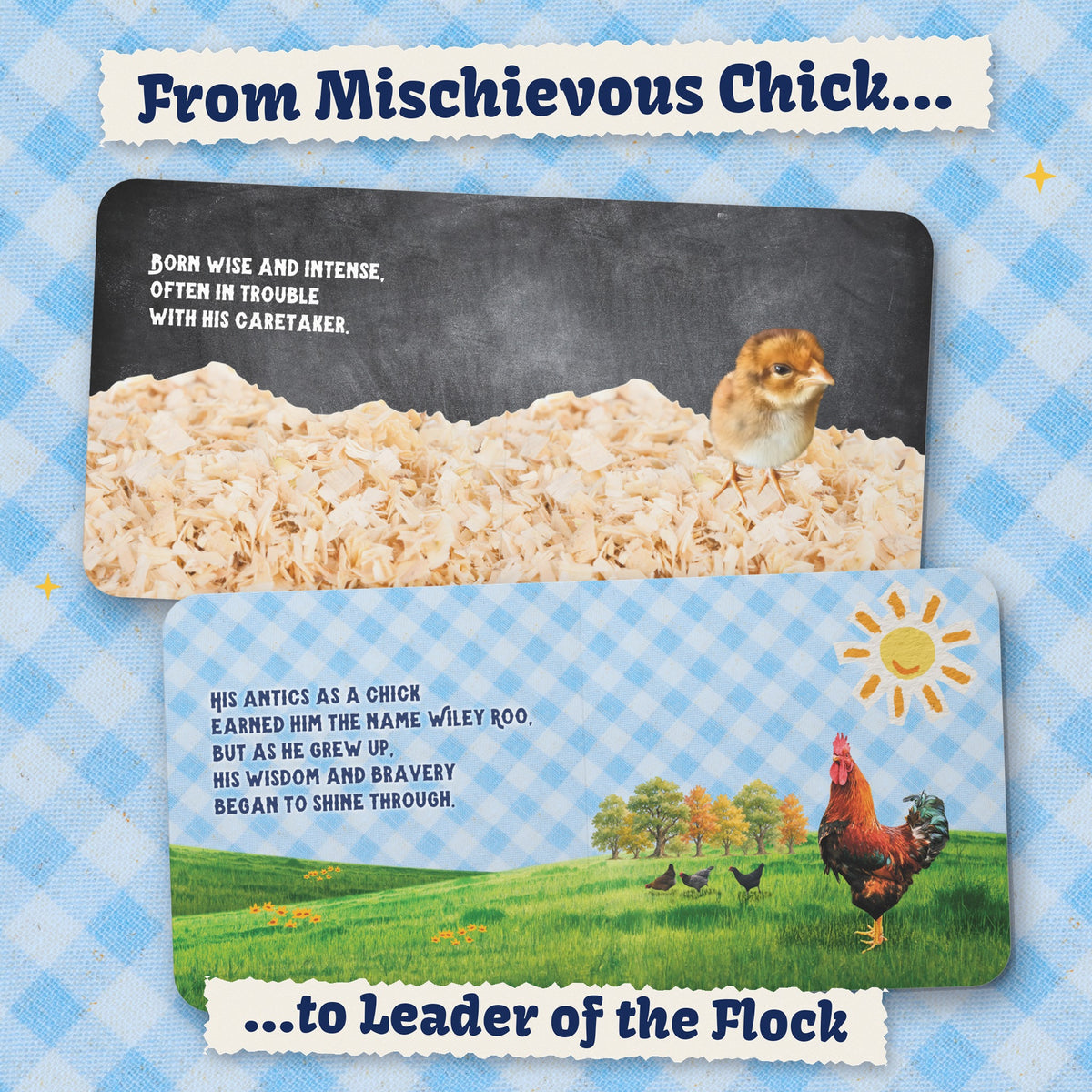 Inside pages: from mischievous chick to leader of the flock