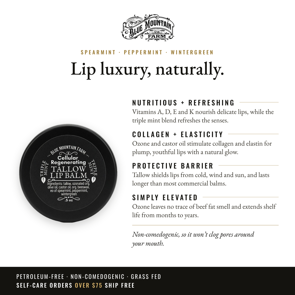 Tallow Lip Balm, Triple Mint infographic: Lip luxury, naturally